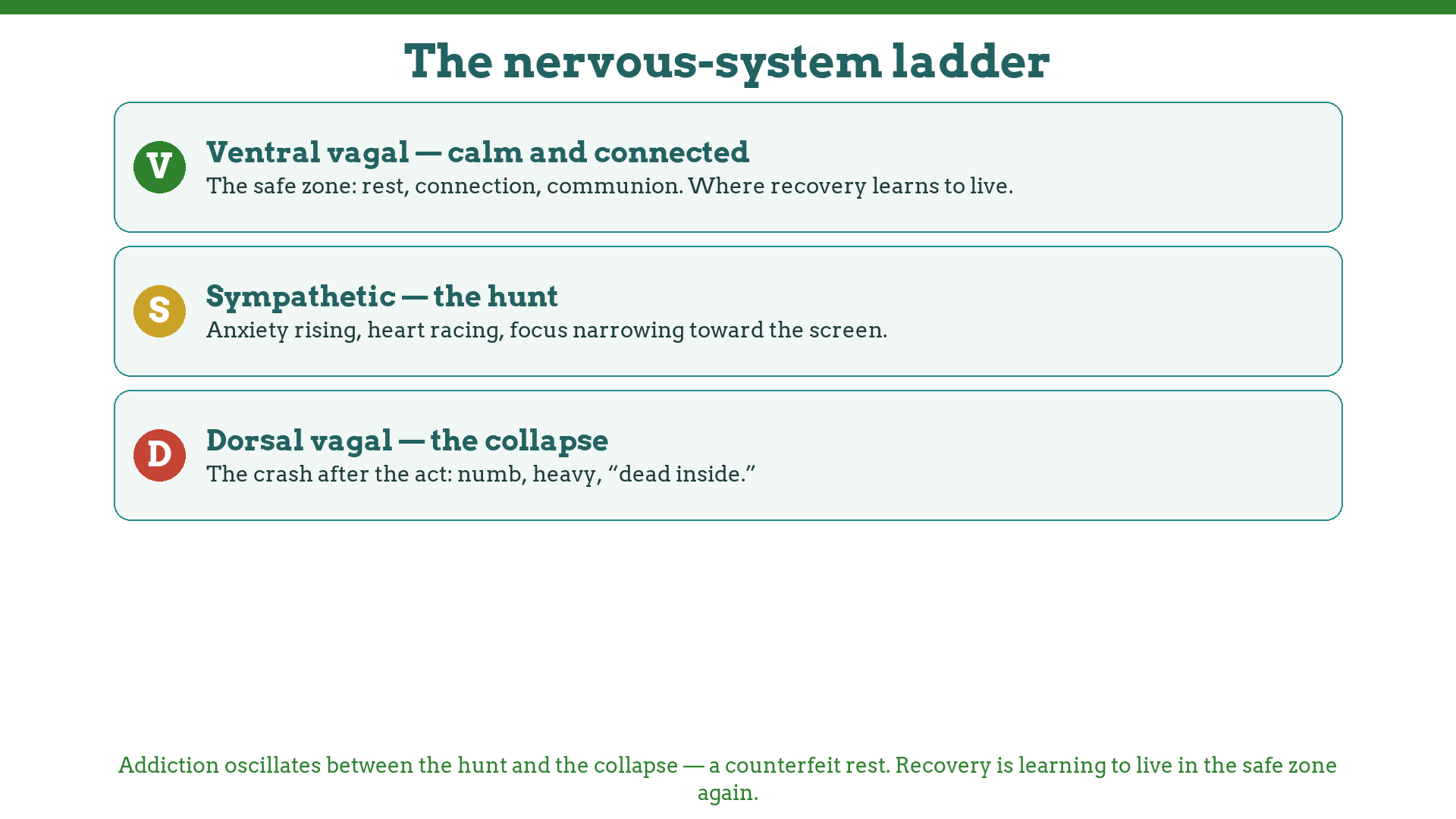 The autonomic nervous-system ladder in porn addiction: ventral vagal safety, sympathetic hunt, dorsal vagal collapse