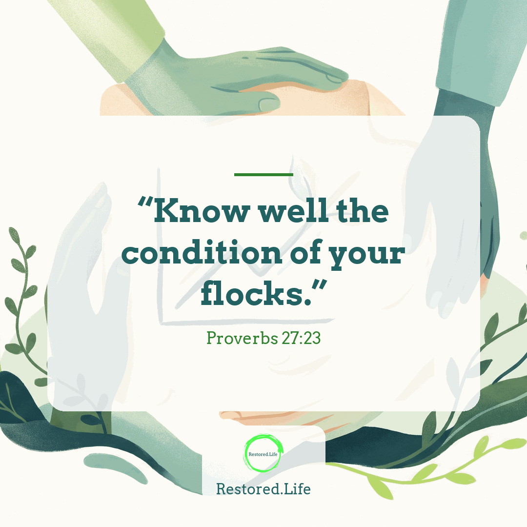 “Know well the condition of your flocks.” — Proverbs 27:23