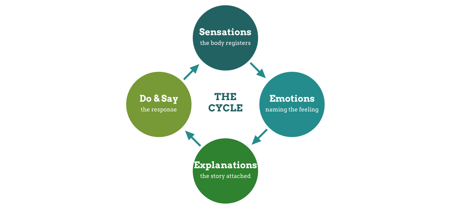 Diagram: the SEEDS cycle — Sensations, Emotions, Explanations, Do & Say, looping
