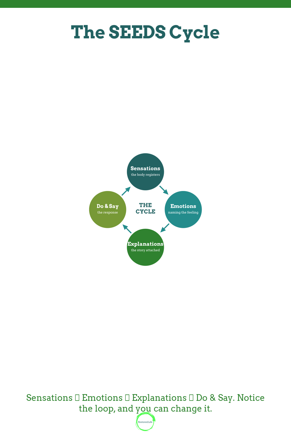 Pinterest infographic: The SEEDS Cycle — Sensations, Emotions, Explanations, Do & Say